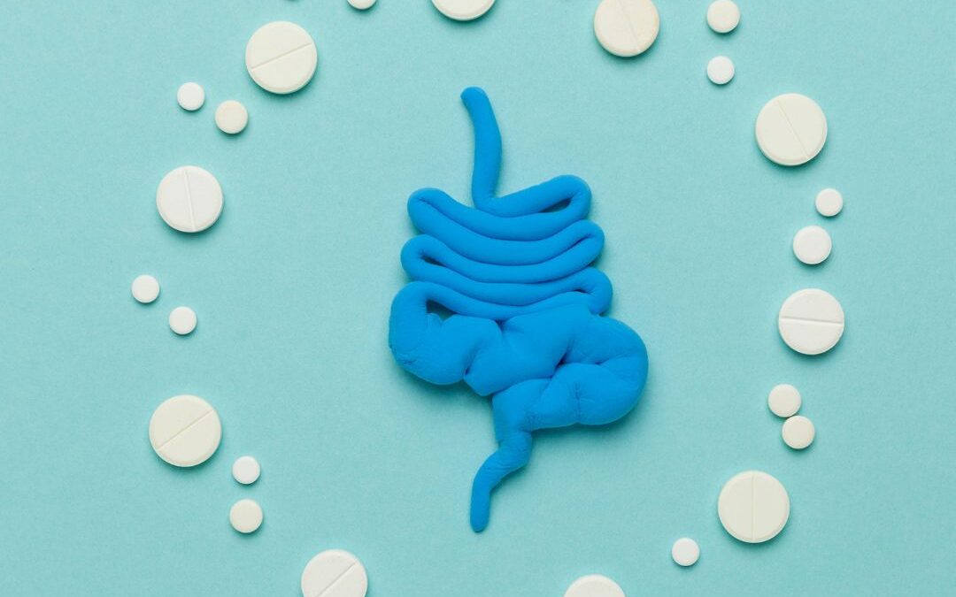Understanding the Role of Probiotics in Menopause